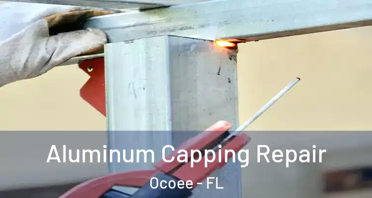  Aluminum Capping Repair Ocoee - FL