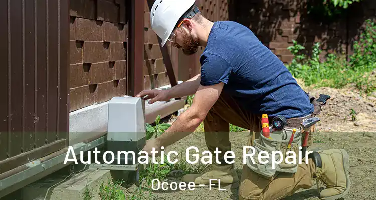  Automatic Gate Repair Ocoee - FL