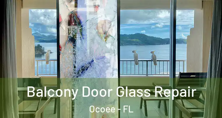  Balcony Door Glass Repair Ocoee - FL
