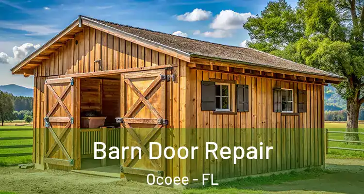  Barn Door Repair Ocoee - FL