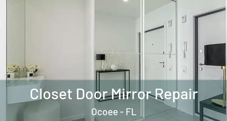  Closet Door Mirror Repair Ocoee - FL