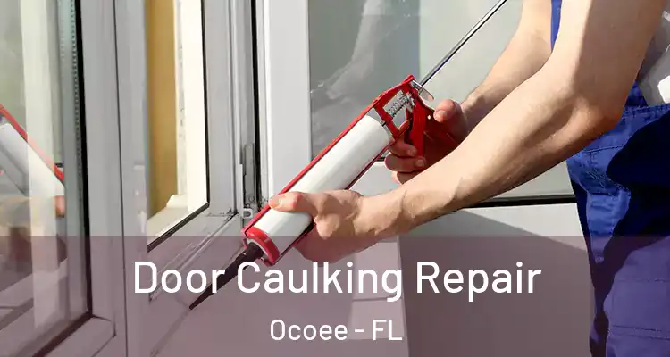 Door Caulking Repair Ocoee - FL