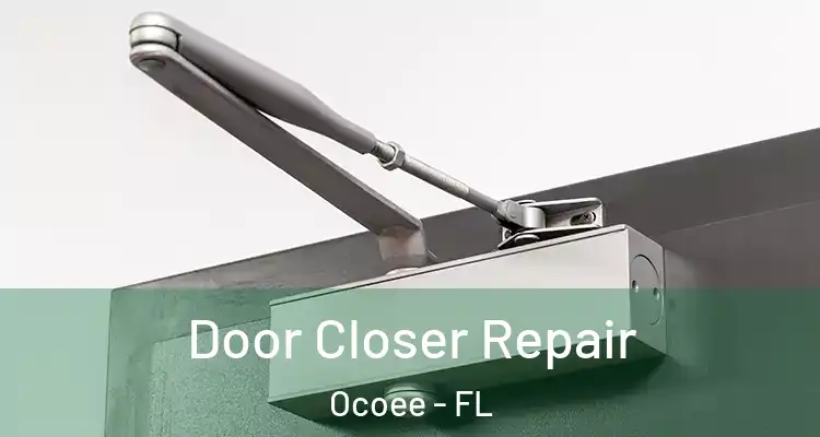  Door Closer Repair Ocoee - FL