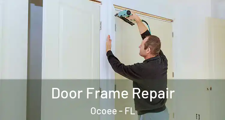  Door Frame Repair Ocoee - FL