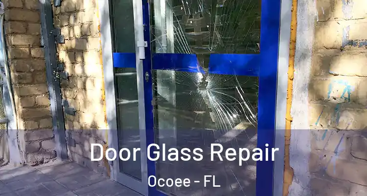  Door Glass Repair Ocoee - FL