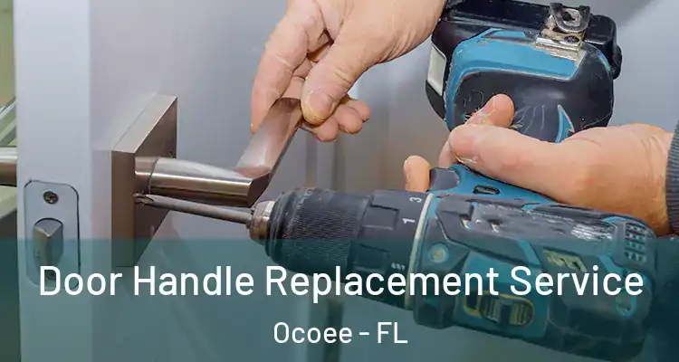  Door Handle Replacement Service Ocoee - FL
