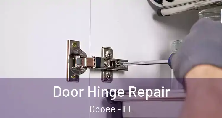  Door Hinge Repair Ocoee - FL