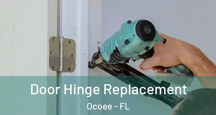  Door Hinge Replacement Ocoee - FL