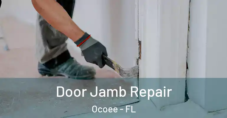  Door Jamb Repair Ocoee - FL