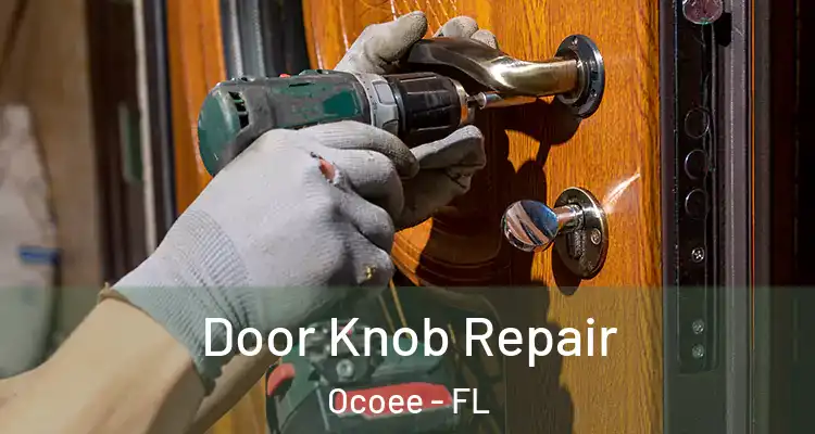  Door Knob Repair Ocoee - FL