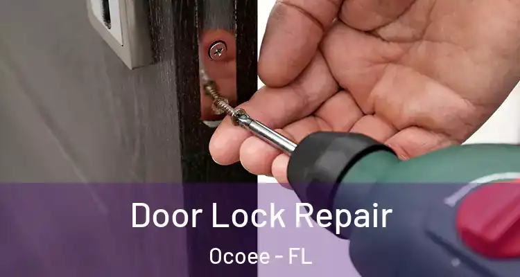  Door Lock Repair Ocoee - FL