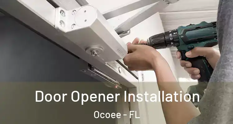  Door Opener Installation Ocoee - FL