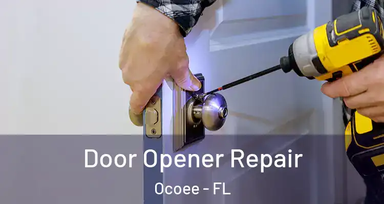 Door Opener Repair Ocoee - FL