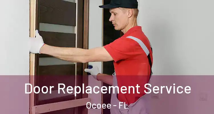  Door Replacement Service Ocoee - FL
