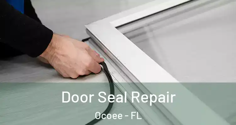  Door Seal Repair Ocoee - FL