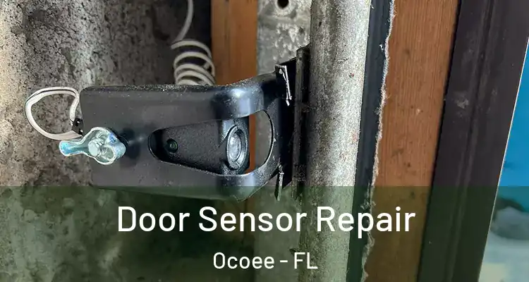  Door Sensor Repair Ocoee - FL