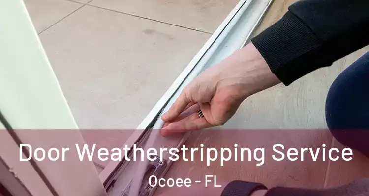  Door Weatherstripping Service Ocoee - FL