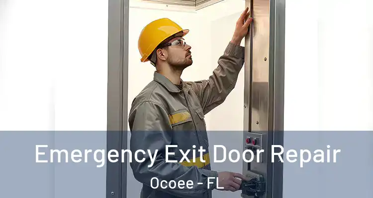  Emergency Exit Door Repair Ocoee - FL