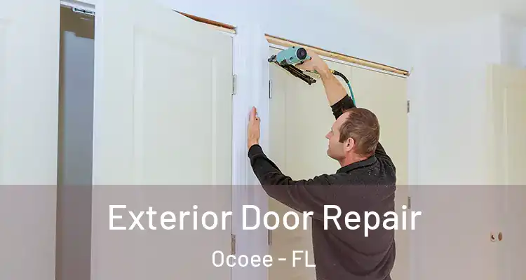  Exterior Door Repair Ocoee - FL