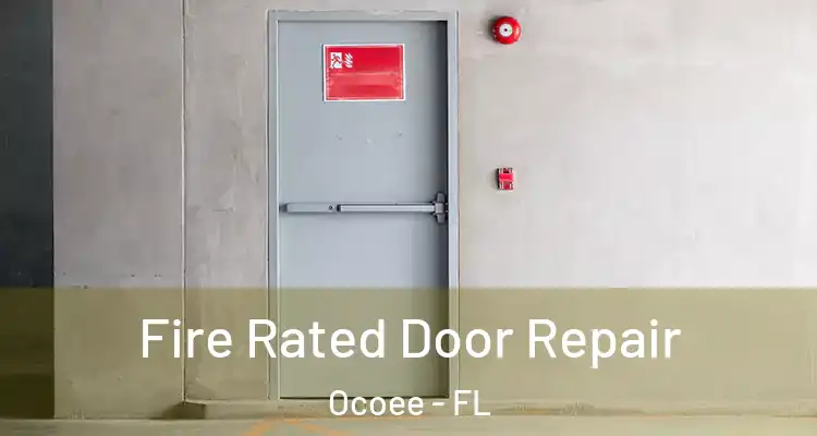  Fire Rated Door Repair Ocoee - FL