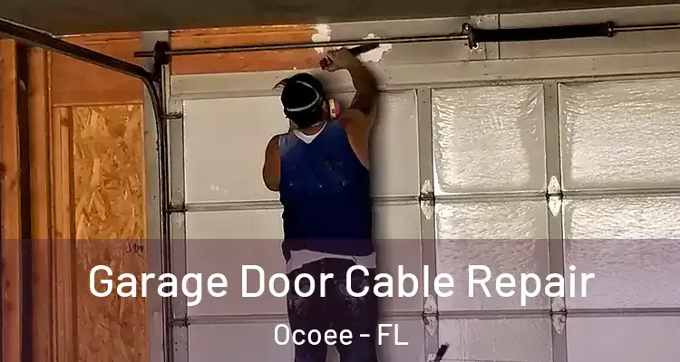  Garage Door Cable Repair Ocoee - FL