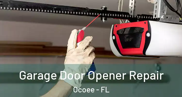  Garage Door Opener Repair Ocoee - FL
