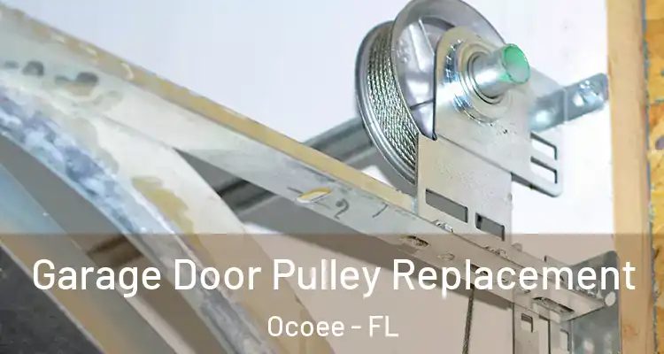  Garage Door Pulley Replacement Ocoee - FL