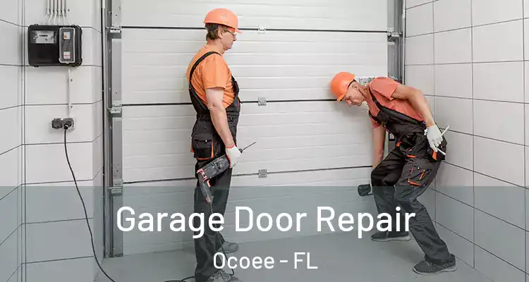  Garage Door Repair Ocoee - FL