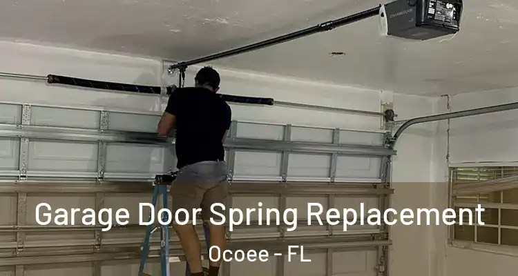  Garage Door Spring Replacement Ocoee - FL