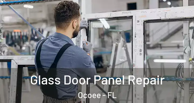  Glass Door Panel Repair Ocoee - FL