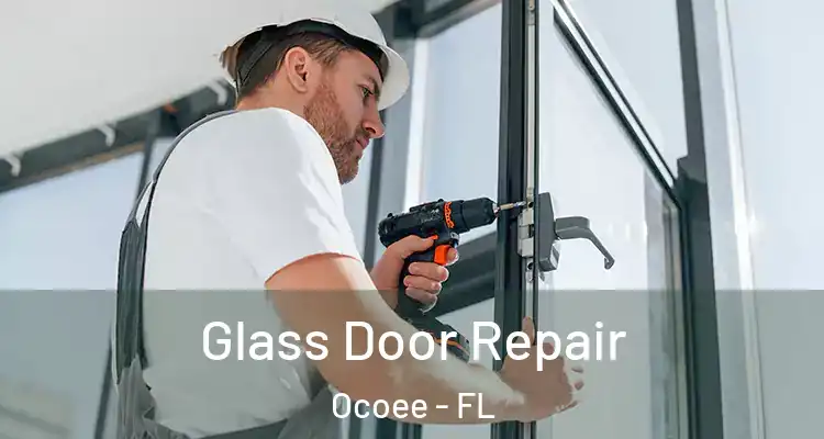  Glass Door Repair Ocoee - FL