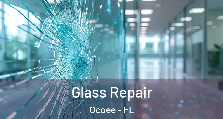  Glass Repair Ocoee - FL