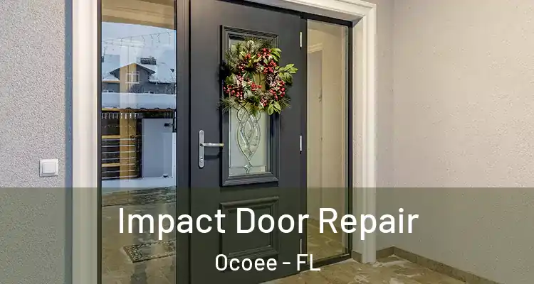  Impact Door Repair Ocoee - FL