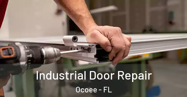  Industrial Door Repair Ocoee - FL