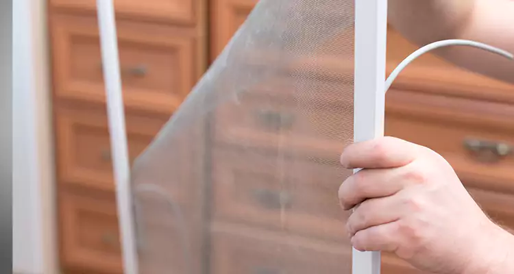 Privacy Mesh Screen Door Installation in Ocoee, FL