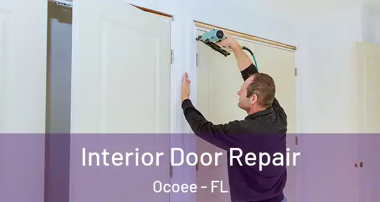  Interior Door Repair Ocoee - FL