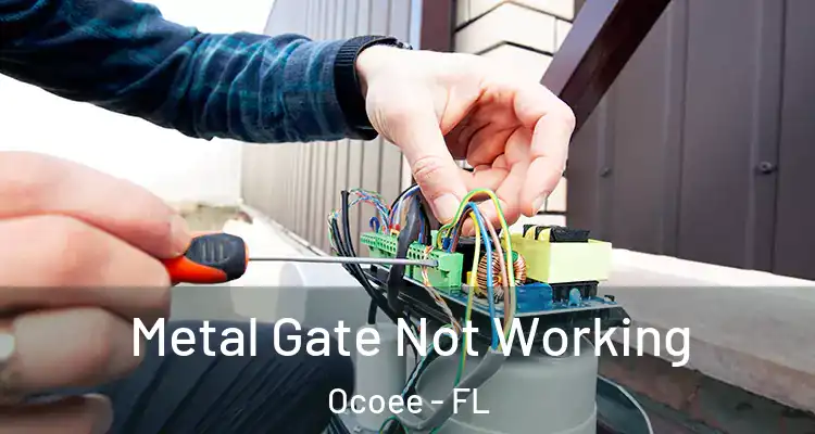  Metal Gate Not Working Ocoee - FL