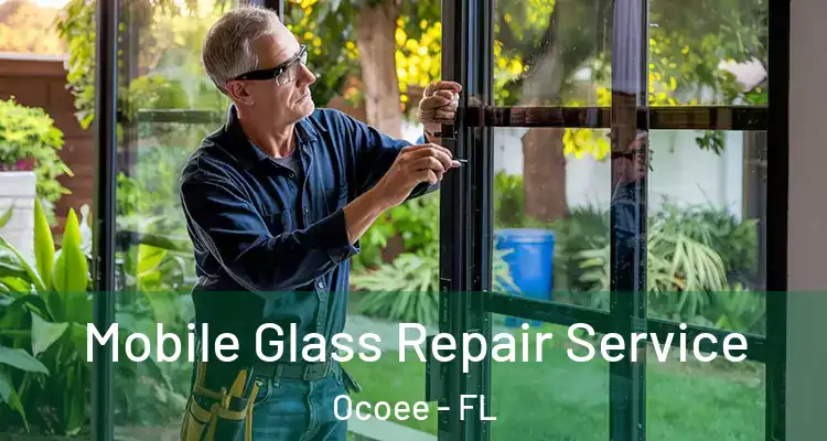  Mobile Glass Repair Service Ocoee - FL