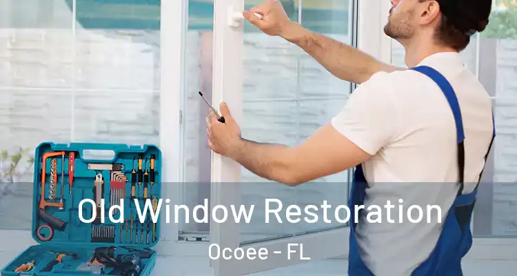  Old Window Restoration Ocoee - FL