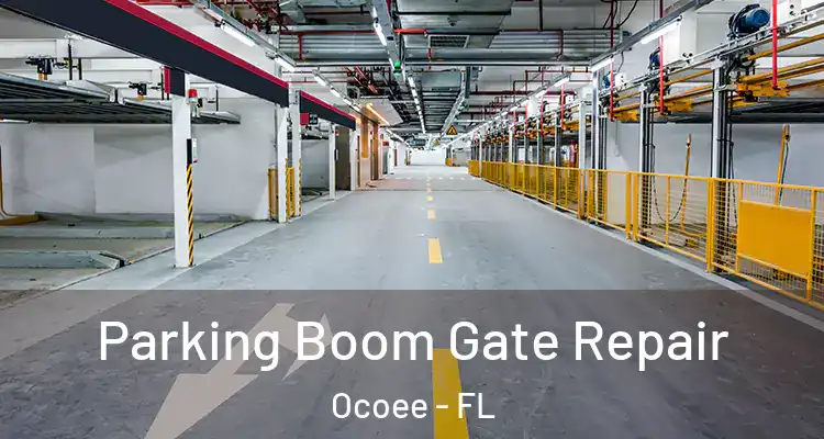  Parking Boom Gate Repair Ocoee - FL