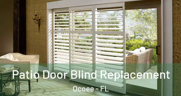  Patio Door Blind Replacement Ocoee - FL