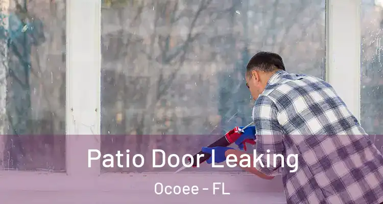  Patio Door Leaking Ocoee - FL