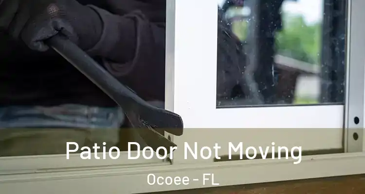  Patio Door Not Moving Ocoee - FL