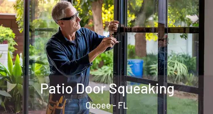  Patio Door Squeaking Ocoee - FL