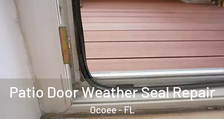  Patio Door Weather Seal Repair Ocoee - FL