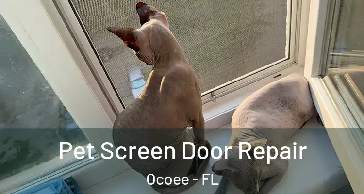  Pet Screen Door Repair Ocoee - FL