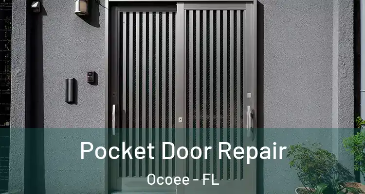  Pocket Door Repair Ocoee - FL