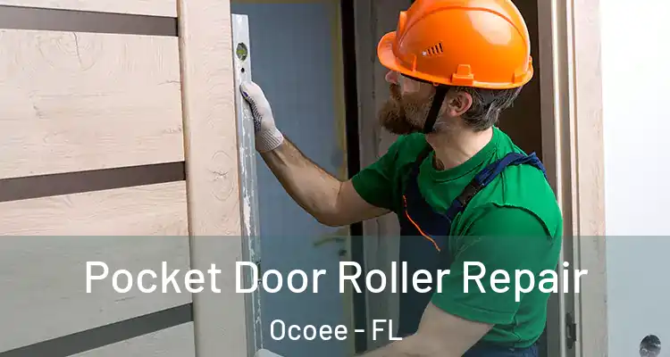  Pocket Door Roller Repair Ocoee - FL