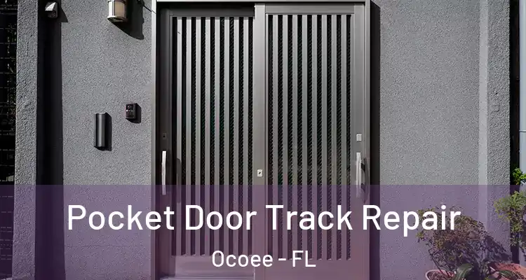  Pocket Door Track Repair Ocoee - FL