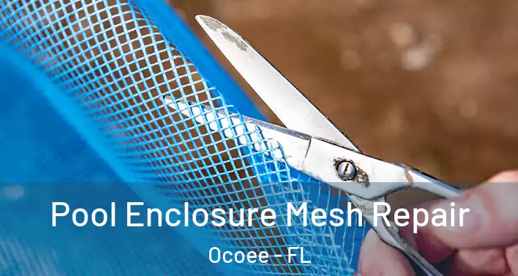  Pool Enclosure Mesh Repair Ocoee - FL